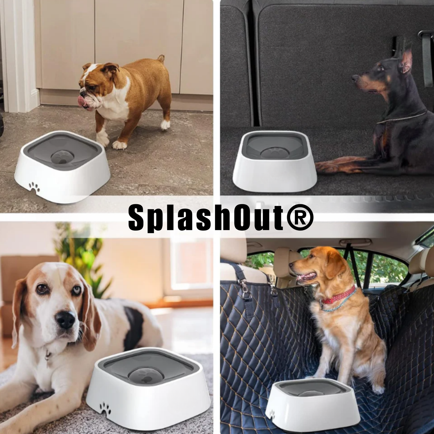 SplashOut®| Bebedero Antiderrame