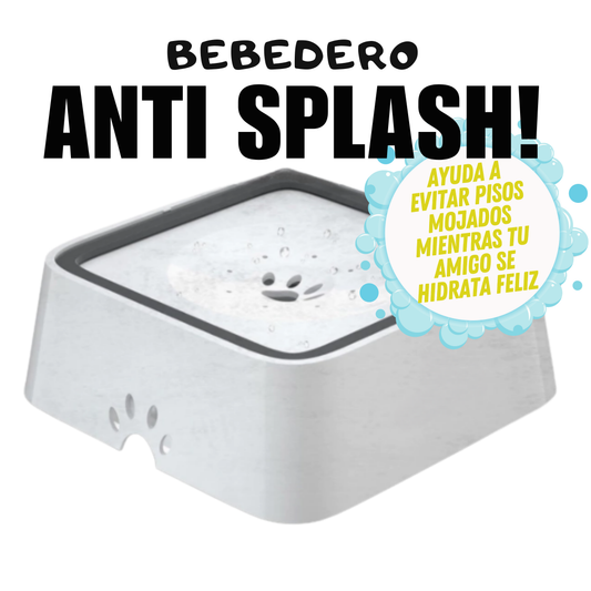 SplashOut®| Bebedero Antiderrame